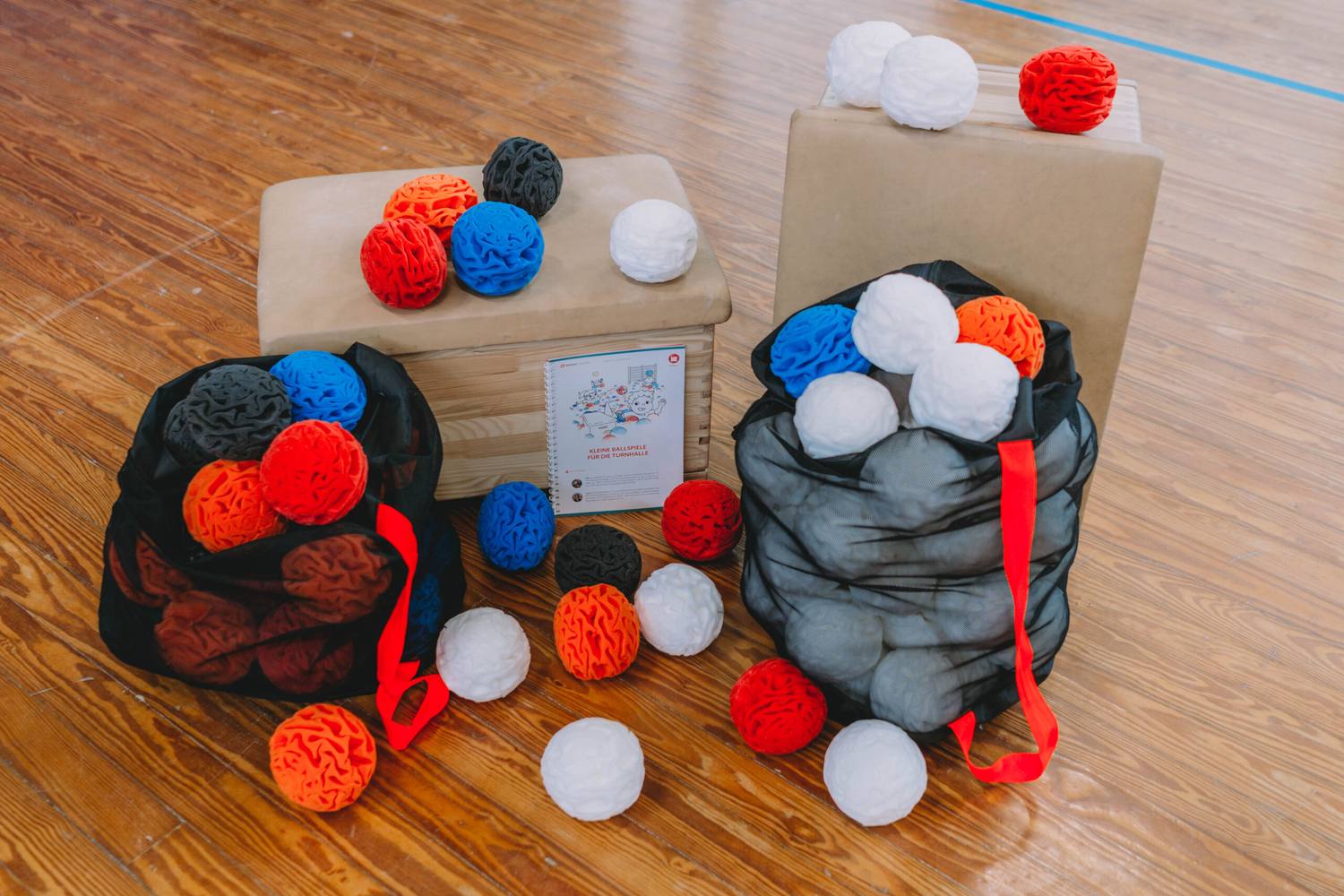 Set ball school con reti, palle colorate e libretto dei giochi